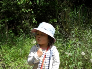 森のようちえん ゆめっこ (認可外保育施設登録・無償化対象予定)
☆大阪校☆