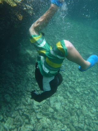 2020年度ネイチャーキャンプ
「アドベンチャーコース 」