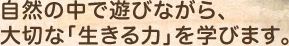 自然の中で遊びながら、 大切な「生きる力」を学びます。