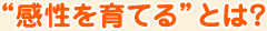 “感性を育てる”とは？