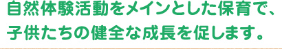 自然体験活動をメインとした保育で、子供たちの健全な成長を促します。