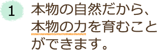 1．本物の自然だから、本物の力を育むことができます。